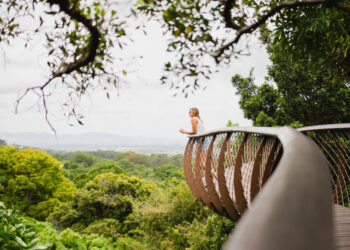 Kirstenbosch gardens