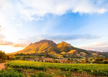 Stellenbosch, South Africa