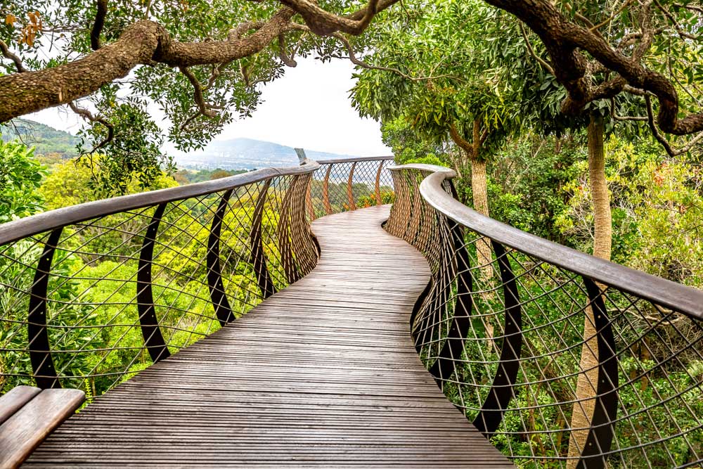 Kirstenbosch National Botanical Garden in Cape Town, South Africa.