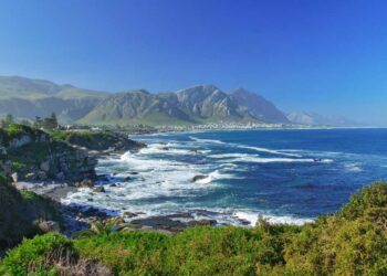 Things to do in Hermanus