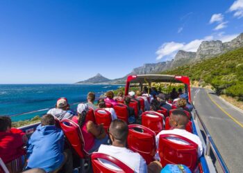 Red Bus, Cape Town