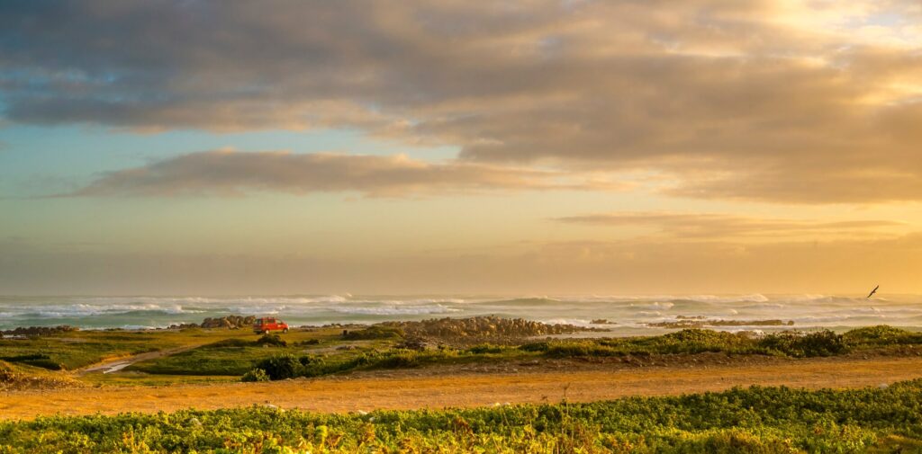 Agulhas National Park – A Journey to Africa’s Southernmost Point
