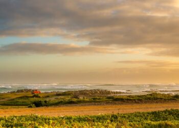 Agulhas National Park