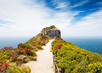 Cape Point Nature Reserve