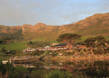 Cape Point Vineyard