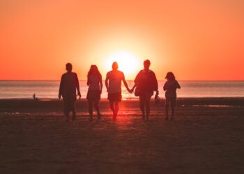 Family Activities in Cape Town