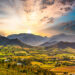 Franschhoek