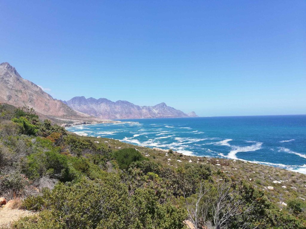 Gansbaai – Alluring Beauty and Adventures