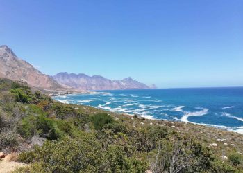 Gansbaai