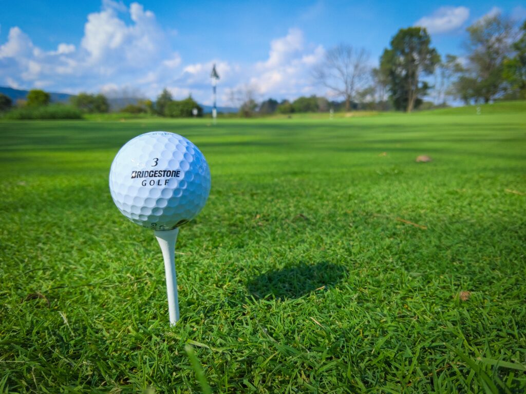 Clovelly Country Club Course
