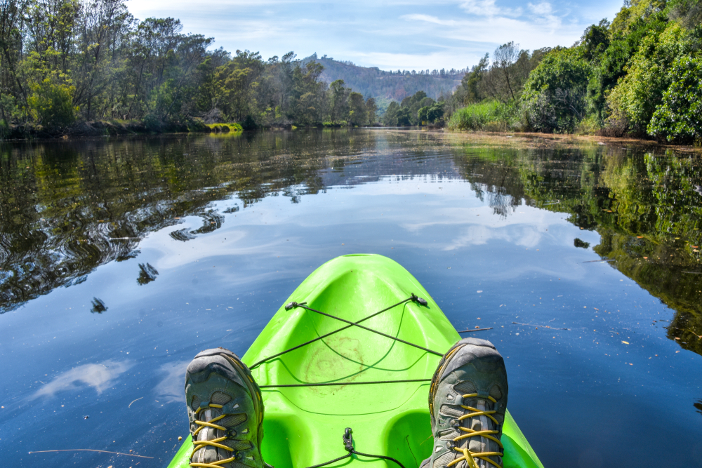 Goukamma Kayaking