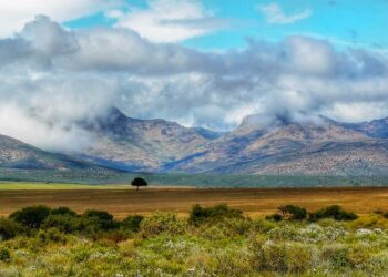 Karoo National Park Karoo