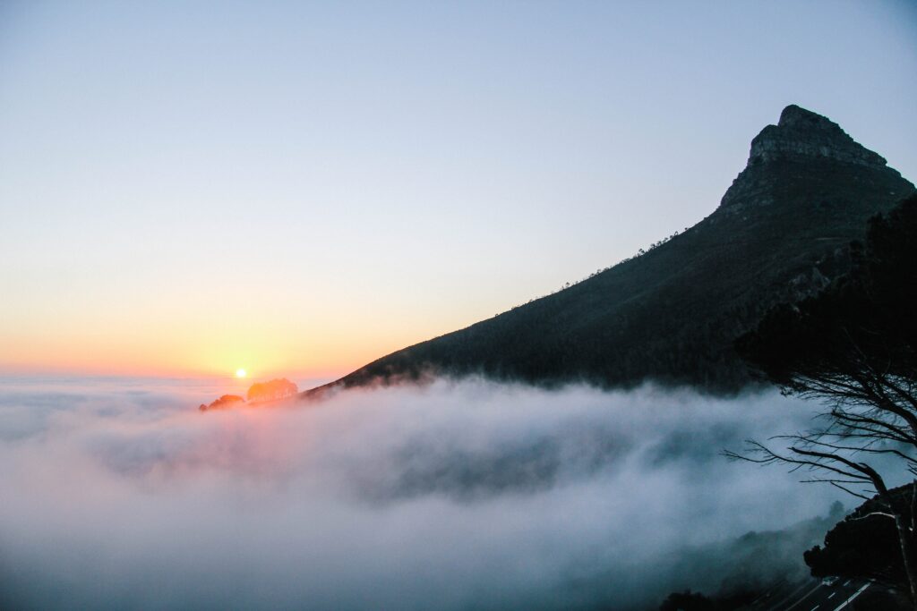Lion's Head