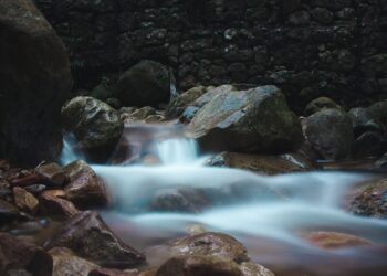 Newlands Forest Waterfall