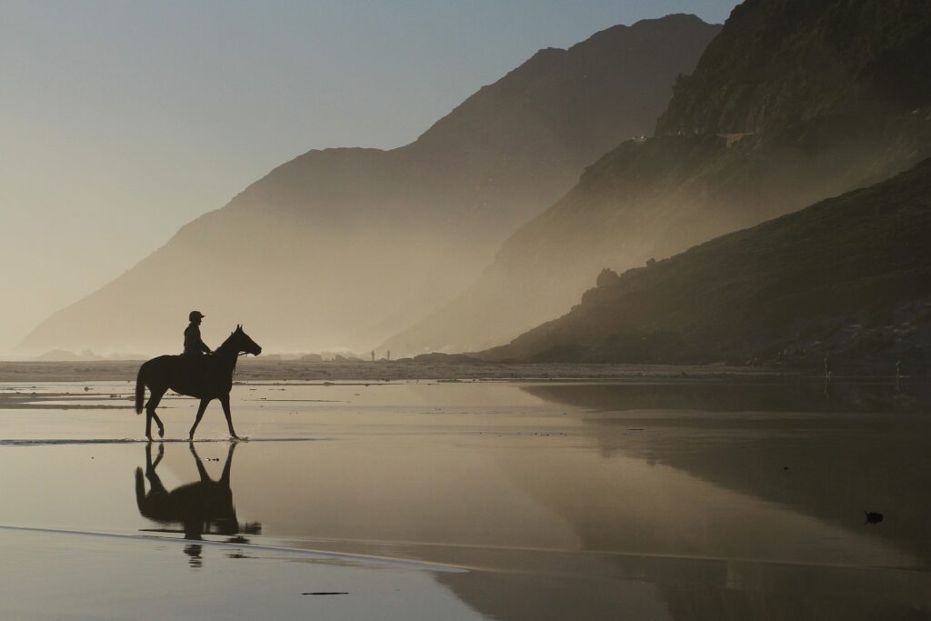 Noordhoek Horse Riding