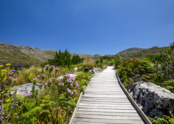 Silvermine Nature Reserve