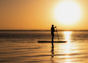 Stand Up Paddle Boarding