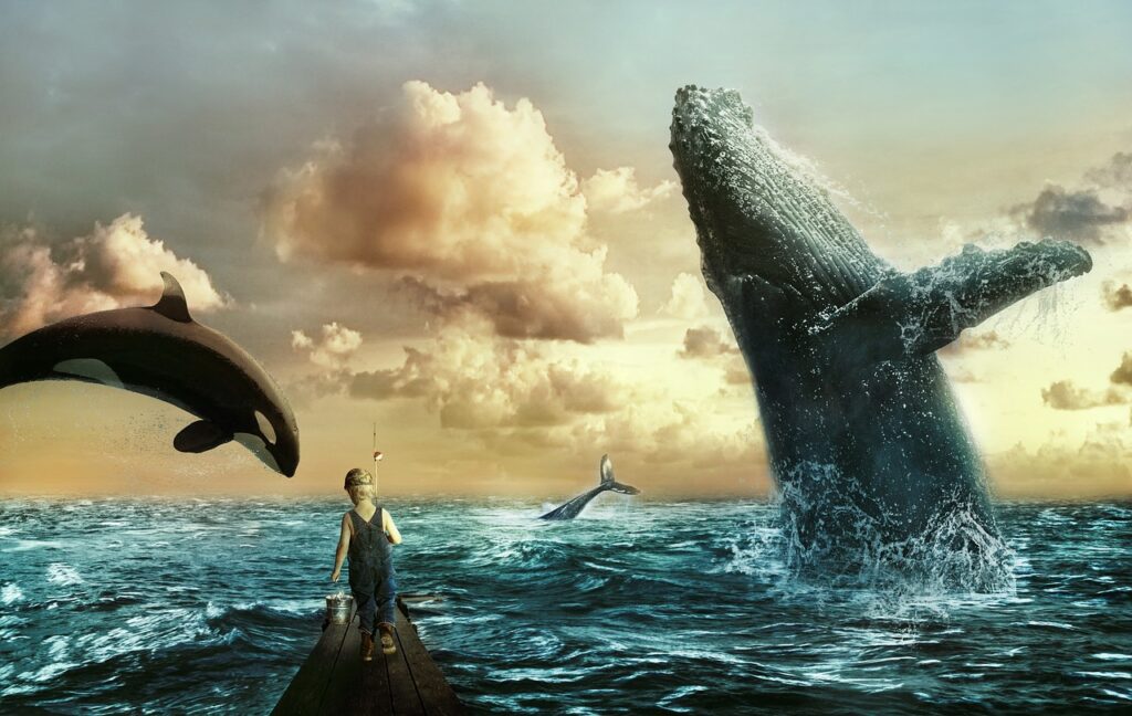 Whale Watching in Cape Town: A Marine Experience Like No Other