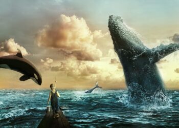 Whale Watching in Cape Town: A Marine Experience Like No Other