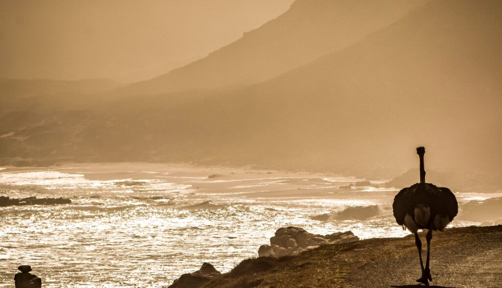 Cape Point Sunset