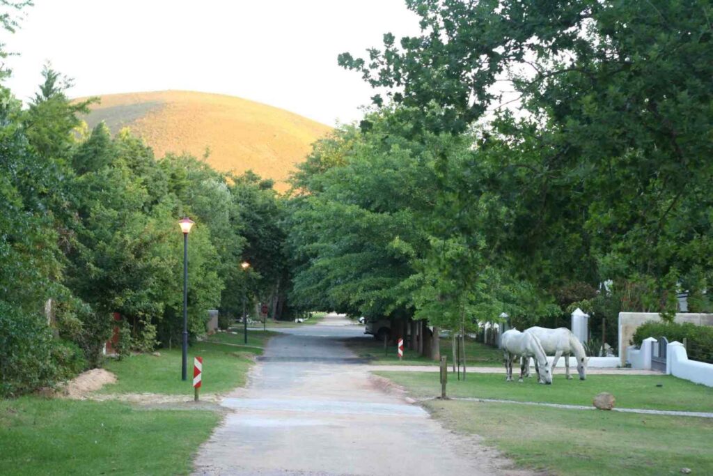 Greyton – A Nature-Inspired and Creative Village