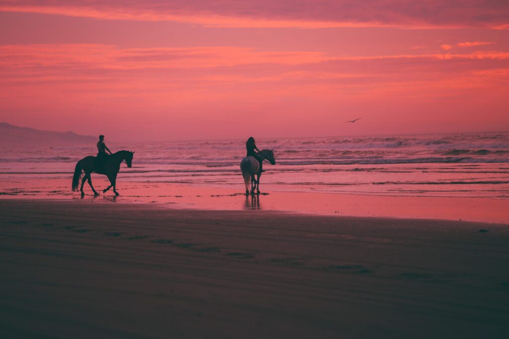 Horse Riding on Noordhoek Beach – Sand, Sea, and Stallions