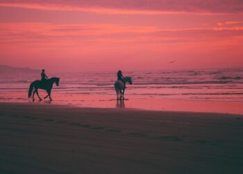 Noordhoek Beach Horse Riding