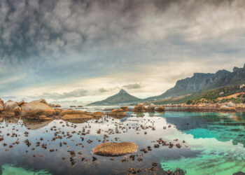 Ryan Botha