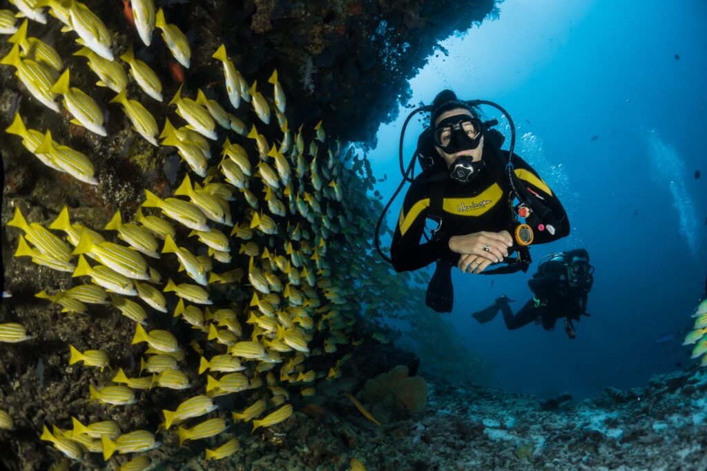 Scuba Diving, Cape Town – An Underwater Adventure