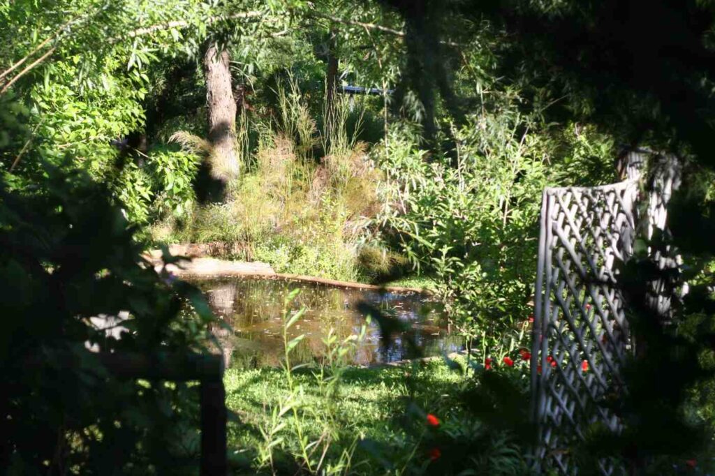 Sustainability Greyton