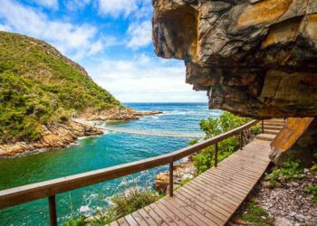 Tsitsikamma National Park