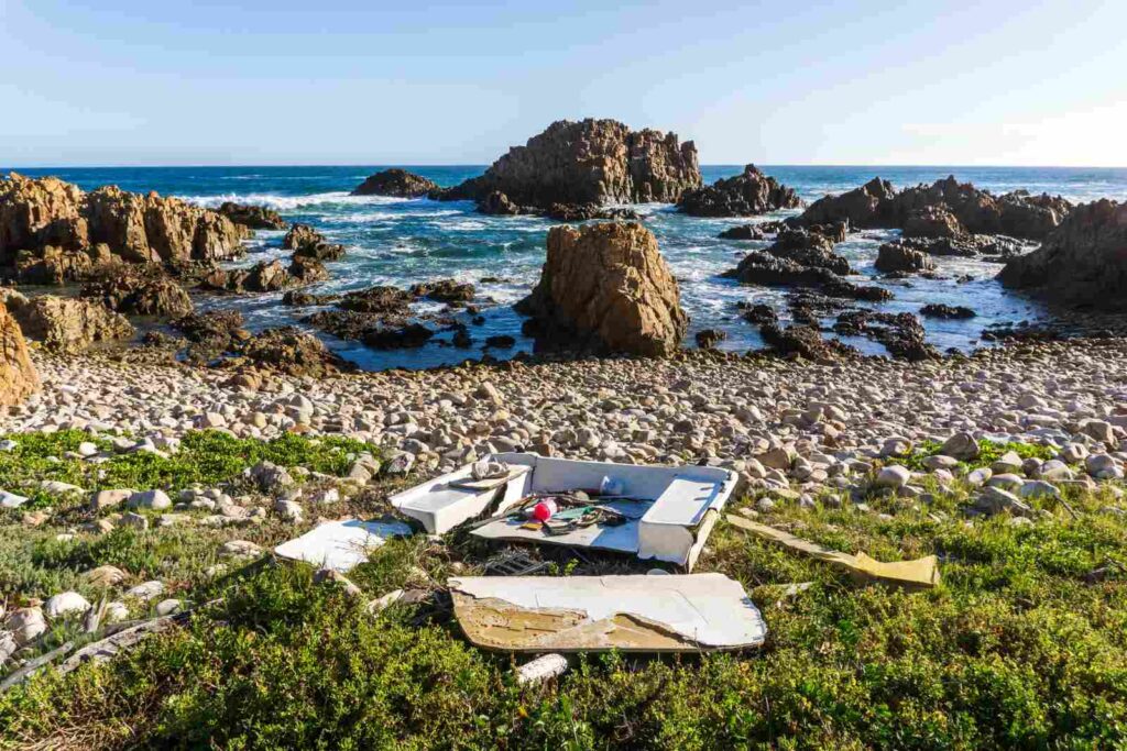Oudeschip Shipwreck Hike – Cape Town’s Maritime Trail Uncovered