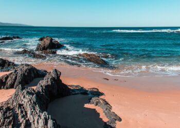Plettenberg Bay