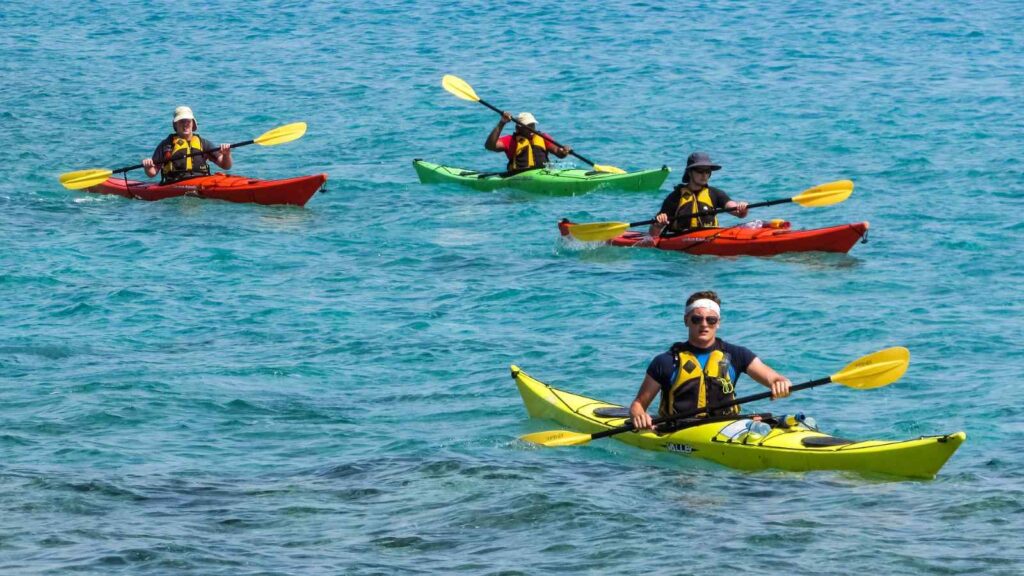 Kayaking – Guided Expeditions in Cape Town