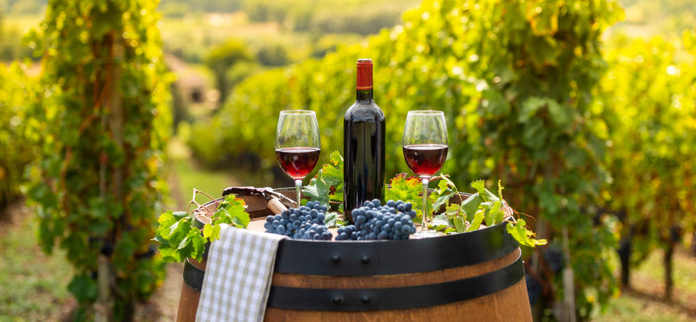 Cape Town Wine's