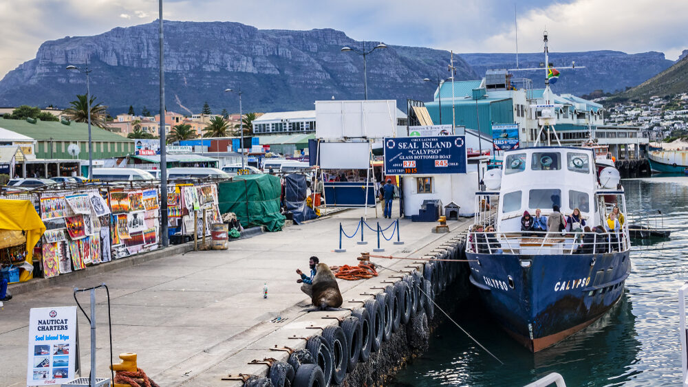 Bay Harbour Market