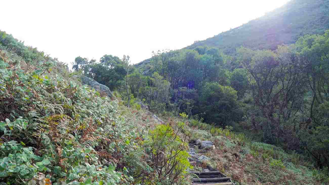 Hiking trail to Maclear's Beacon