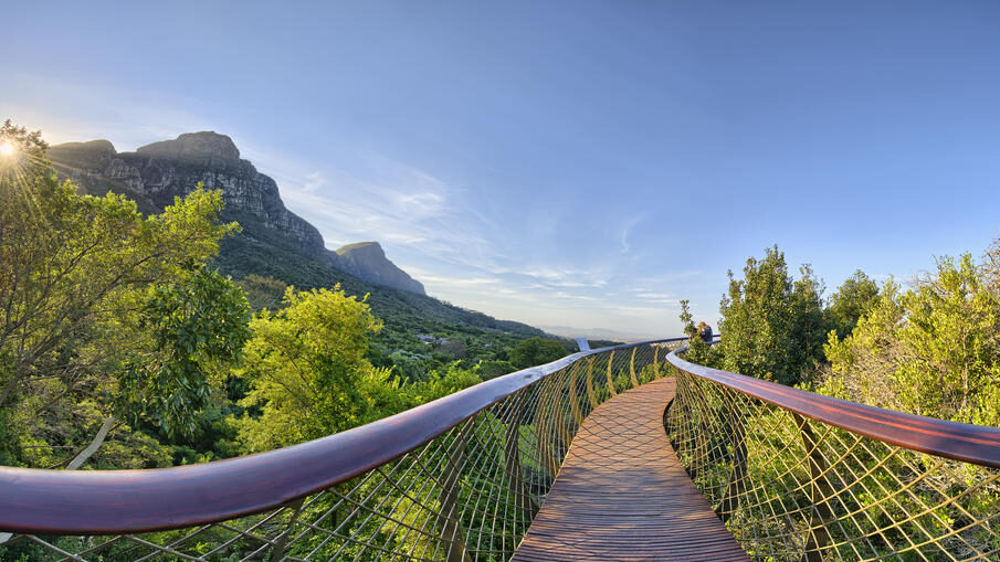 Kirstenbosch Gardens