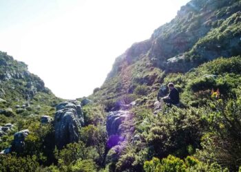 Maclear's Beacon