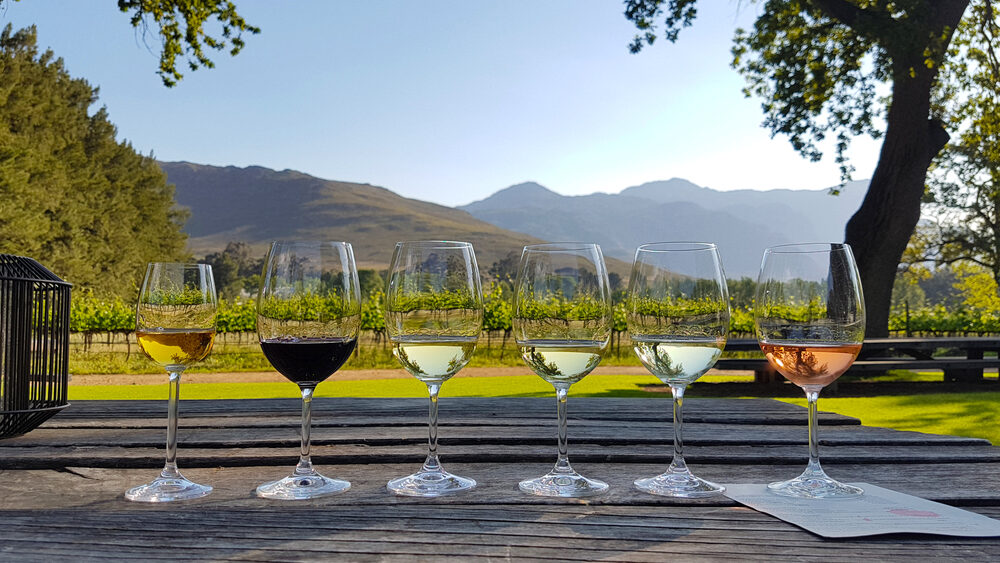Stellenbosch Wine