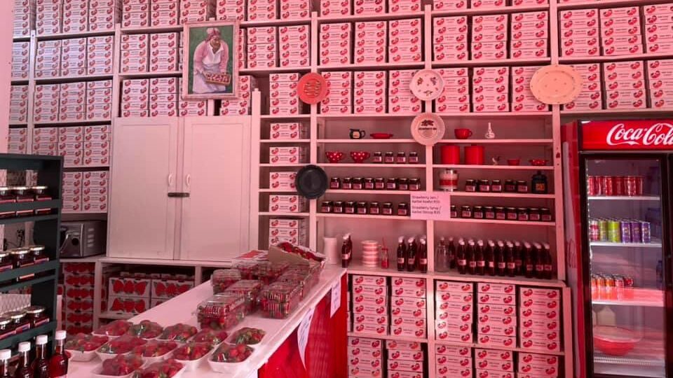 The Strawberry King Farm