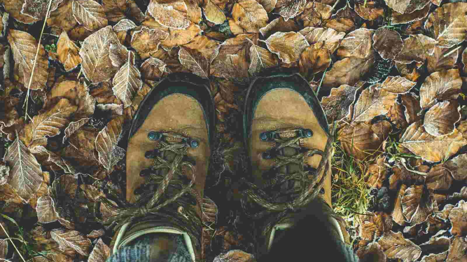 hiking boots for platteklip gorge
