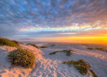 Blue Flag Beaches