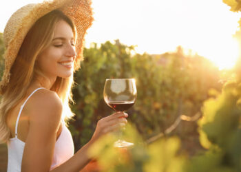 wine tasting in cape town