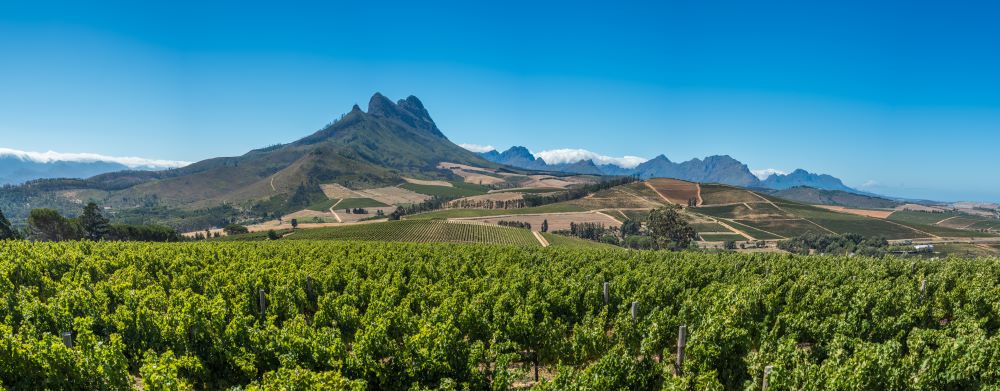 Cape Winelands visit in western cape