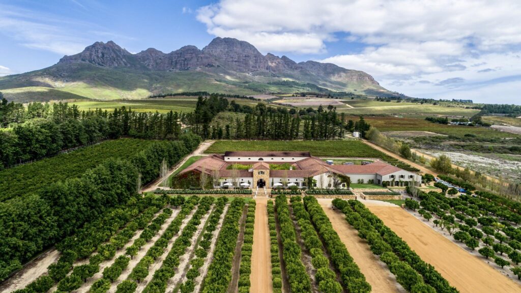 Waterford Estate – Crafting the Finest Quality Wines