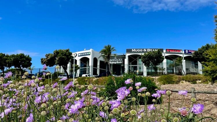 Paddocks Shopping Centre Cape Town