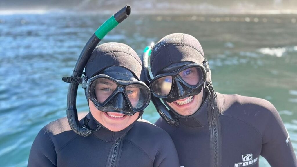 Animal Ocean Seal Snorkelling