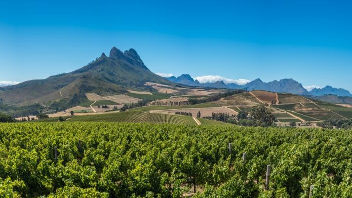 Cape Winelands visit in western cape