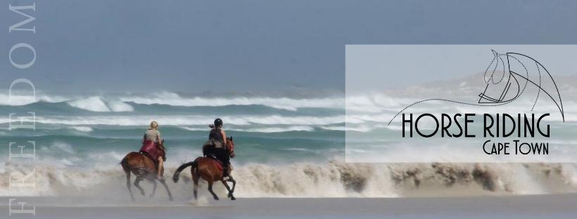 Horse Riding Cape Town